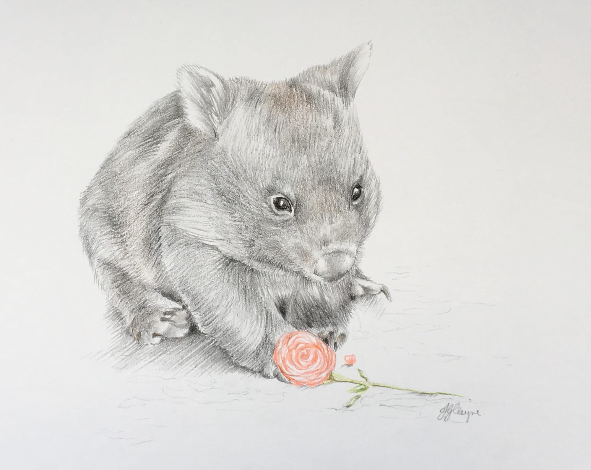 Will you accept this rose? - SOLD