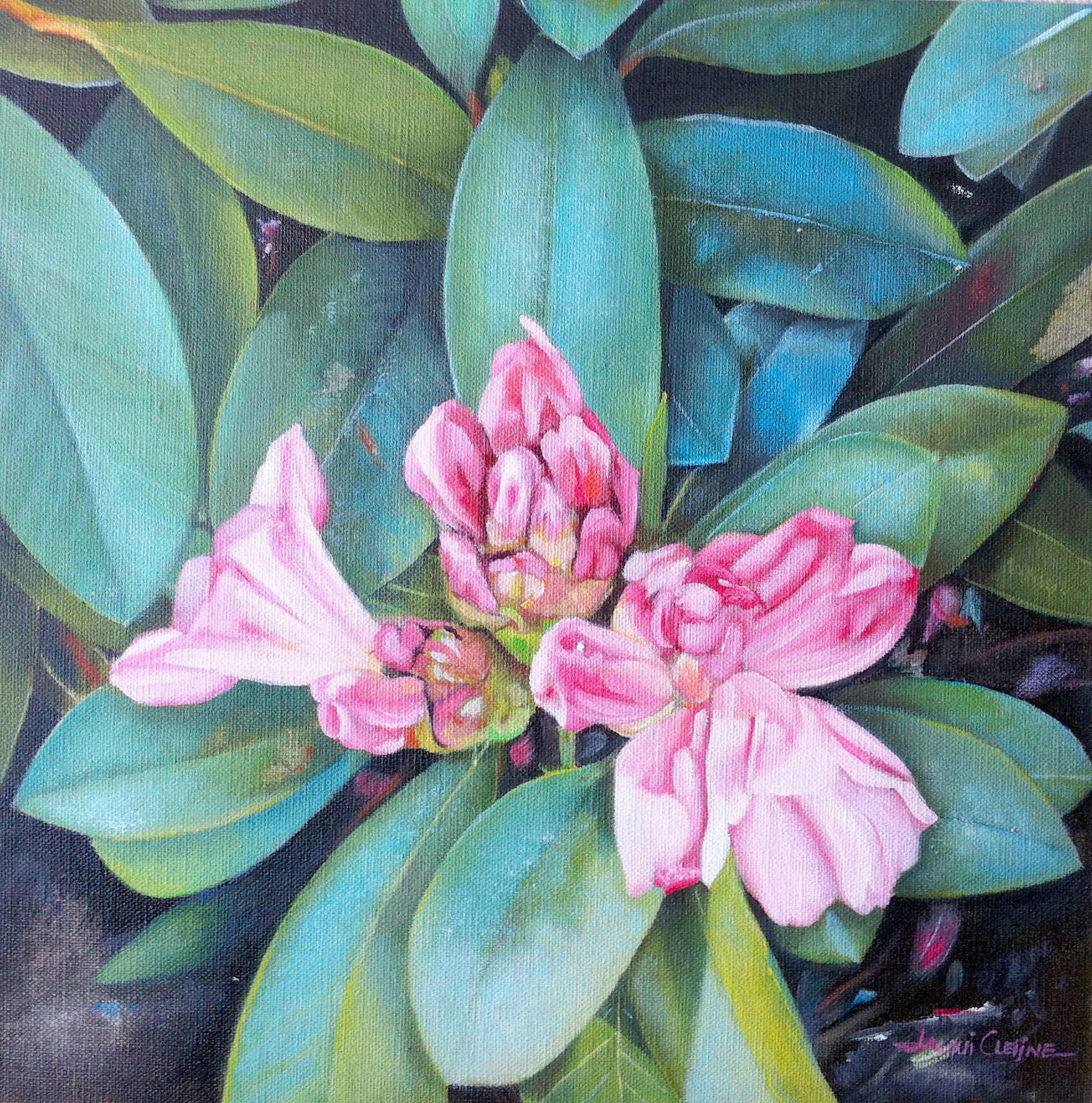 Rhododendron Flower - FOR SALE