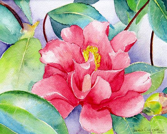 Camellia Flower - SOLD