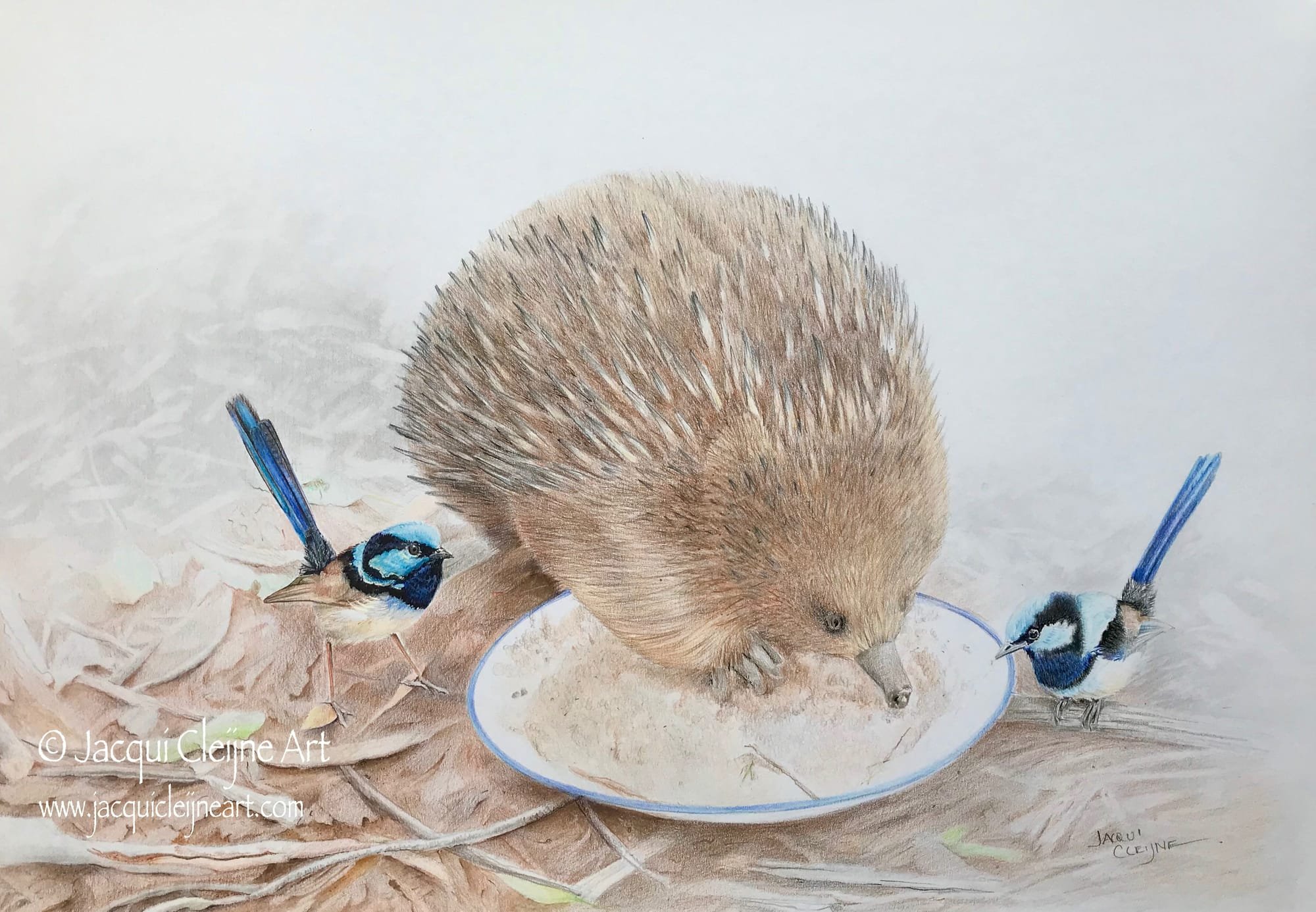Echidna Sharing with Friends - SOLD