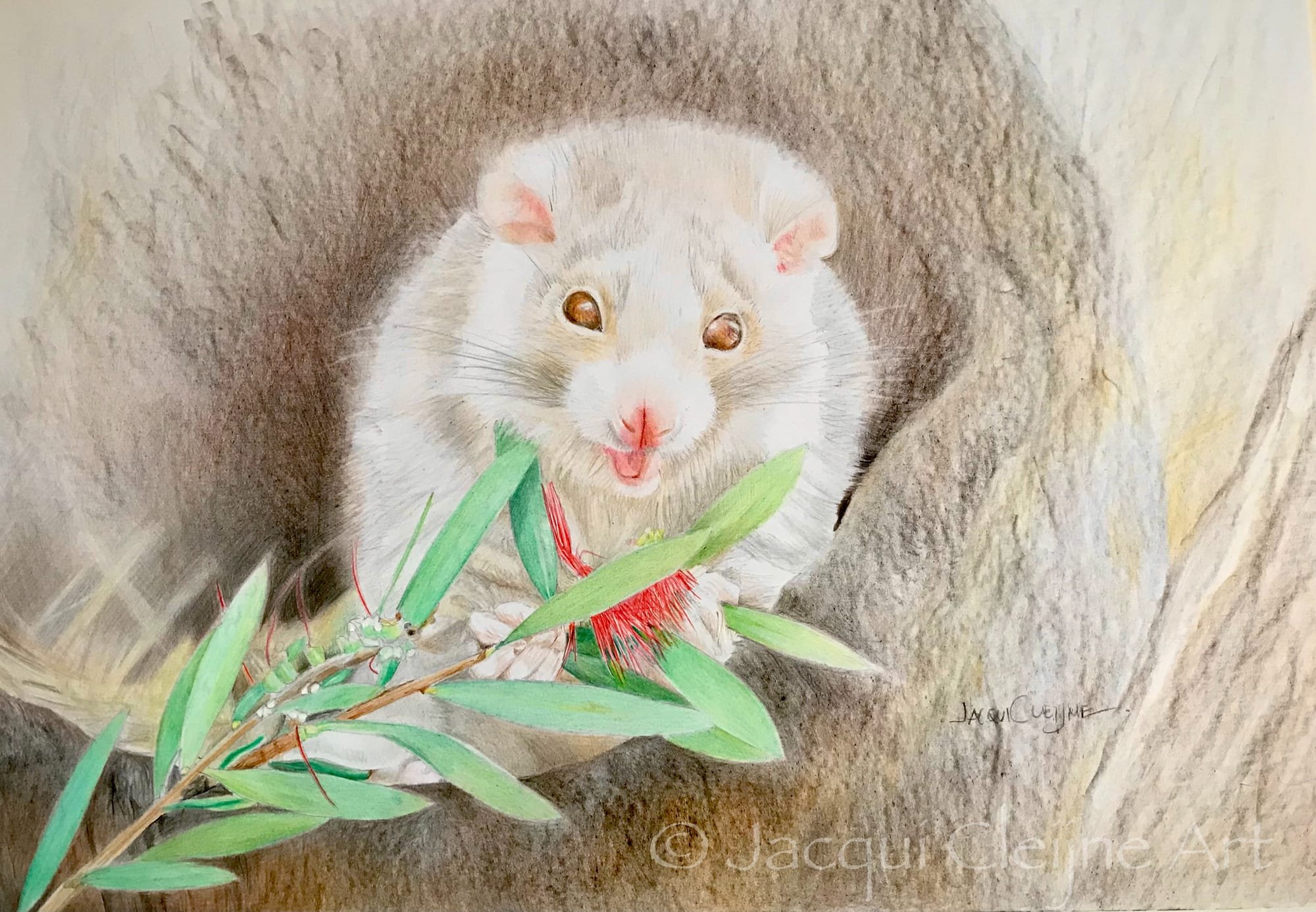 "Cuteness Overload" - Albino Possum FOR SALE