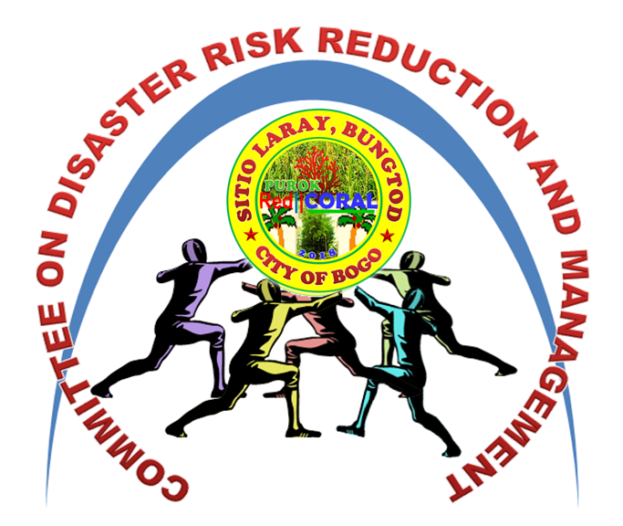 COMMITTEE ON DISASTER RISK REDUCTION AND MANAGEMENT