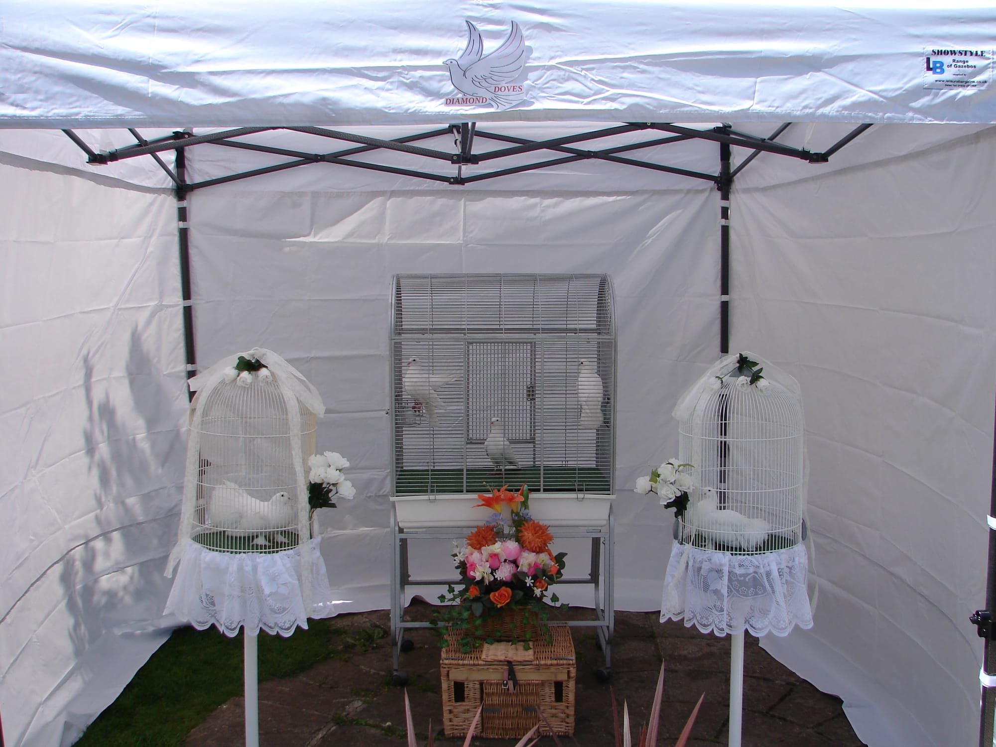 2.5 x 2.5 white marquee