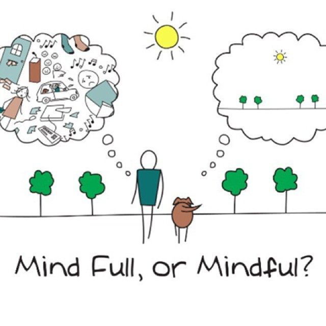 About Mindfulness - "You Are Not Your Brain”