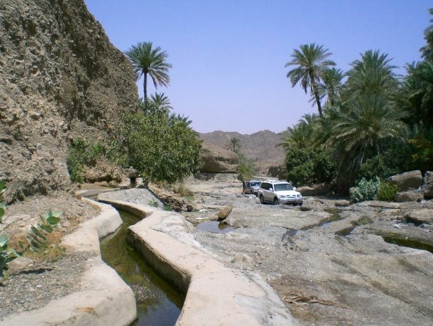 Survive a Desert Off-Road Trail in the UAE