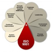 ISO 9001 Consulting Services