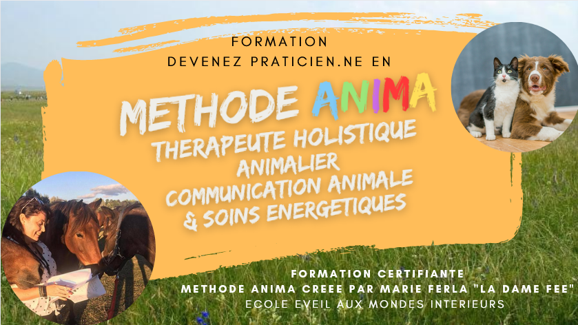 (En pause) FORMATION METHODE ANIMA - Thérapeute Holistique animalier (Communication animale et soins energétiques...) par Marie Ferla
