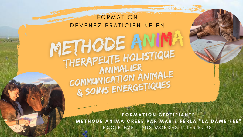 FORMATION METHODE ANIMA - Thérapeute Holistique animalier (Communication animale et soins energétiques...) par Marie Ferla