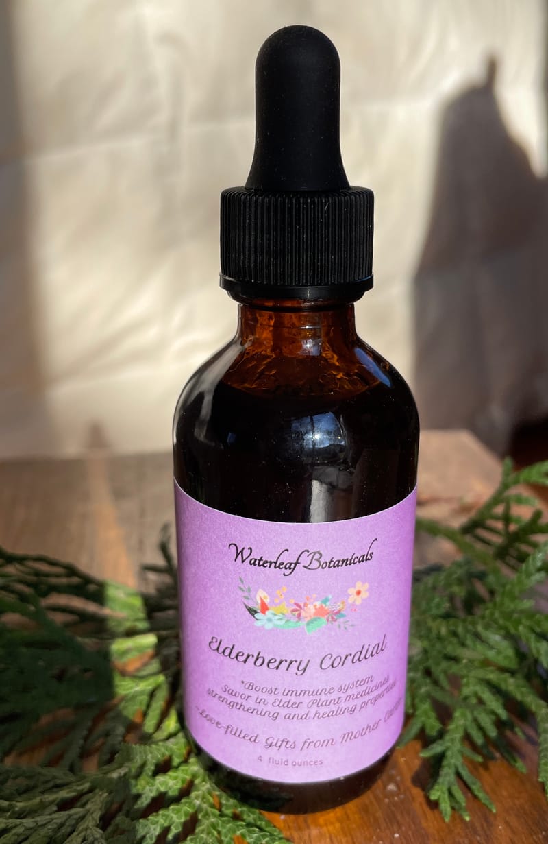 Elderberry Cordial Waterleaf Flower Farm & Design Studio