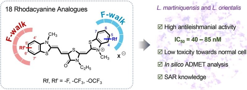 Synthesis and antileishmanial activity of fluorinated rhodacyanine analogues: The ‘fluorine-walk’ analysis