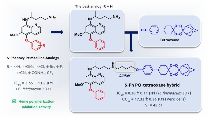5-Phenoxy Primaquine Analogs and the Tetraoxane Hybrid as Antimalarial Agents