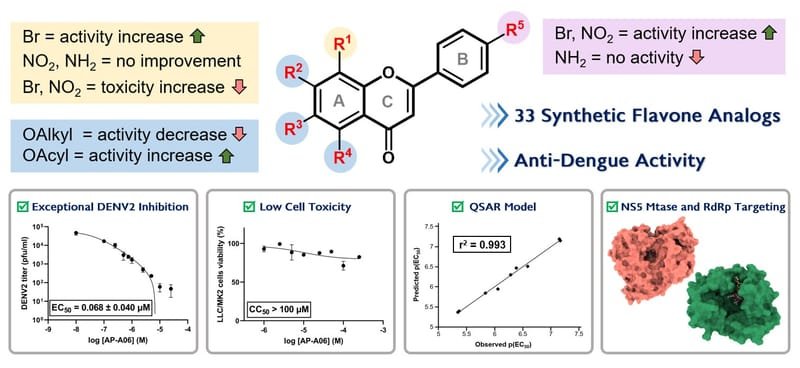 Design, Synthesis, In Vitro, In Silico, and SAR Studies of Flavone Analogs towards Anti-Dengue Activity