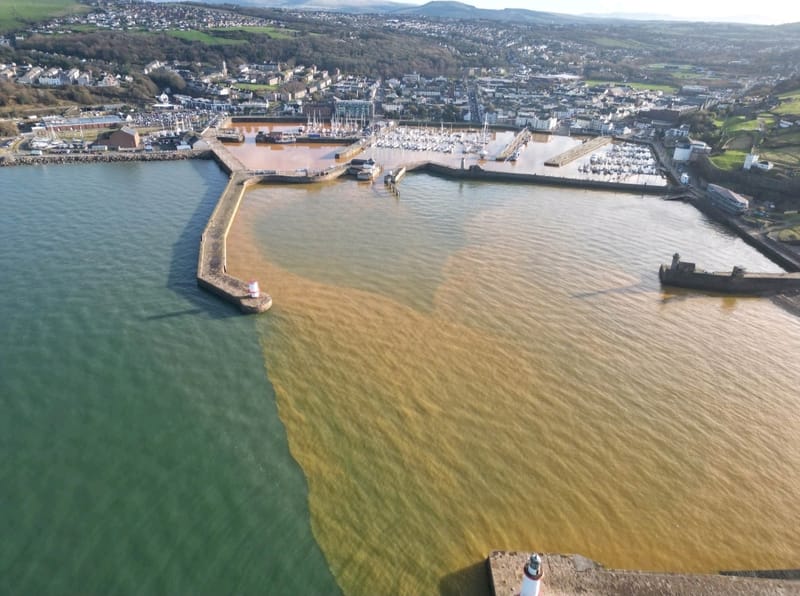 Harbour water update May 2024 Whitehaven Harbour Commissioners