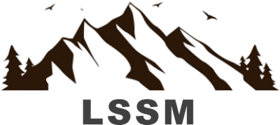 lssm