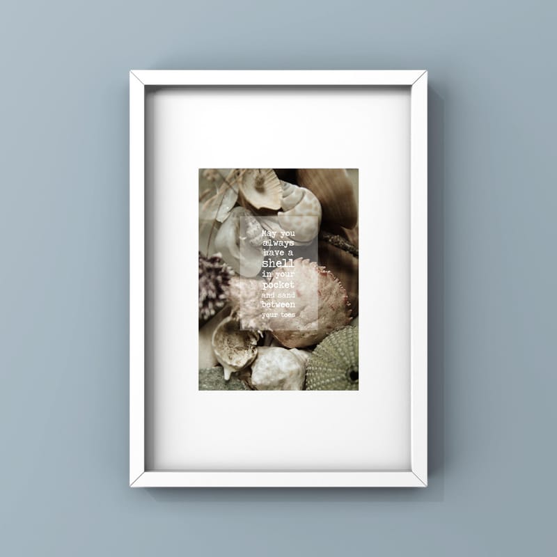 Shell In Your Pocket Seagrass Designs 