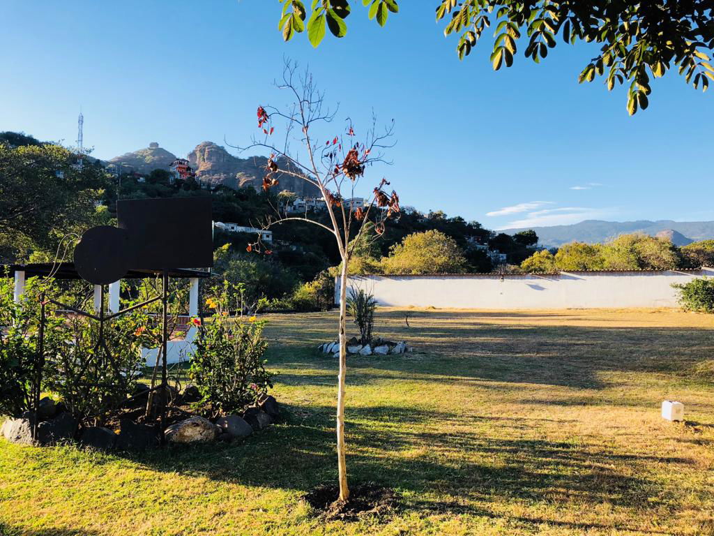 Jardín casa la mayordomía