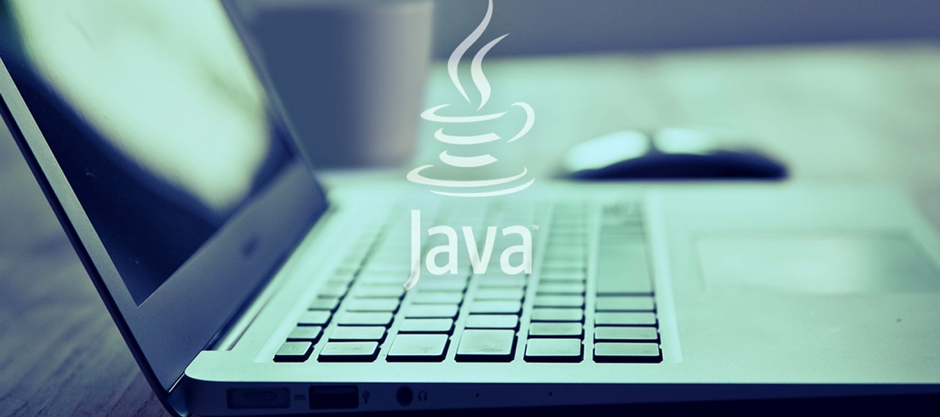 Put A Light On-why Has Java Gained Popularity Worldwide?