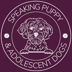 Speaking Puppy & Adolescent Young Dog Training