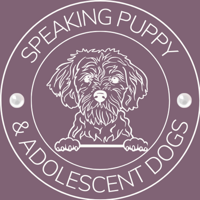 Speaking Puppy & Adolescent Dog Training