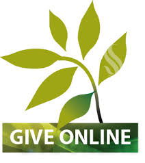 Online Giving Link