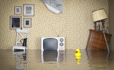 Helpful Tips for Choosing a Water Damage and Restoration Company in Tallahassee, FL image