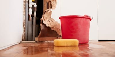 Critical Advantages of Employing a Skilled Water Damage Restoration Company image