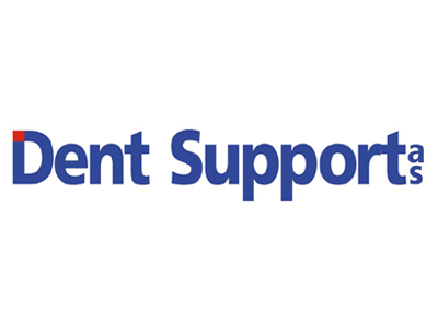 Dent Support