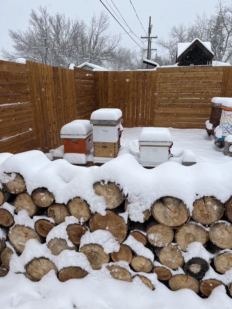 February Planning Your Apiary presented by Matthew McLean