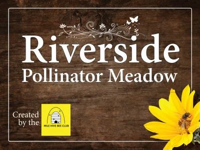 March Riverside Apiary visit