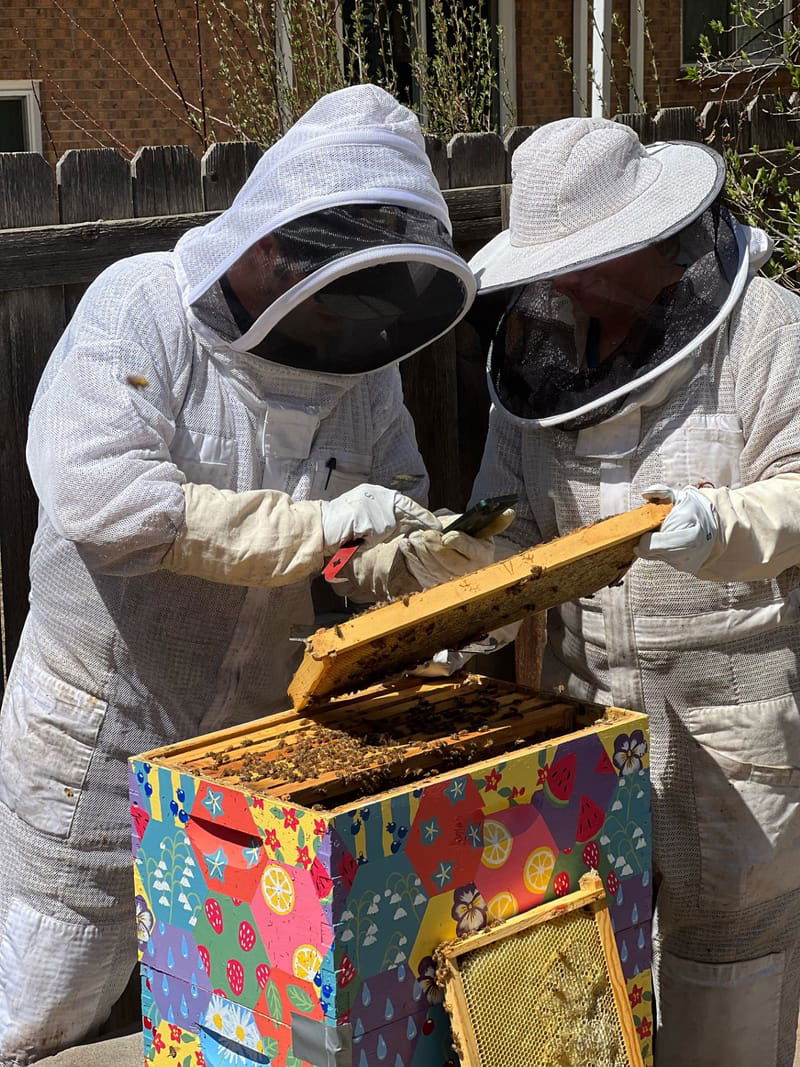 June apiary event at Matt McLean's apiary