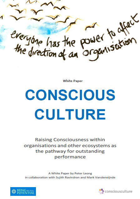 Conscious Culture (White paper)