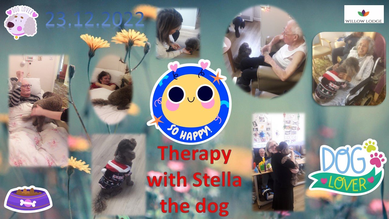 Dog therapy with Stella