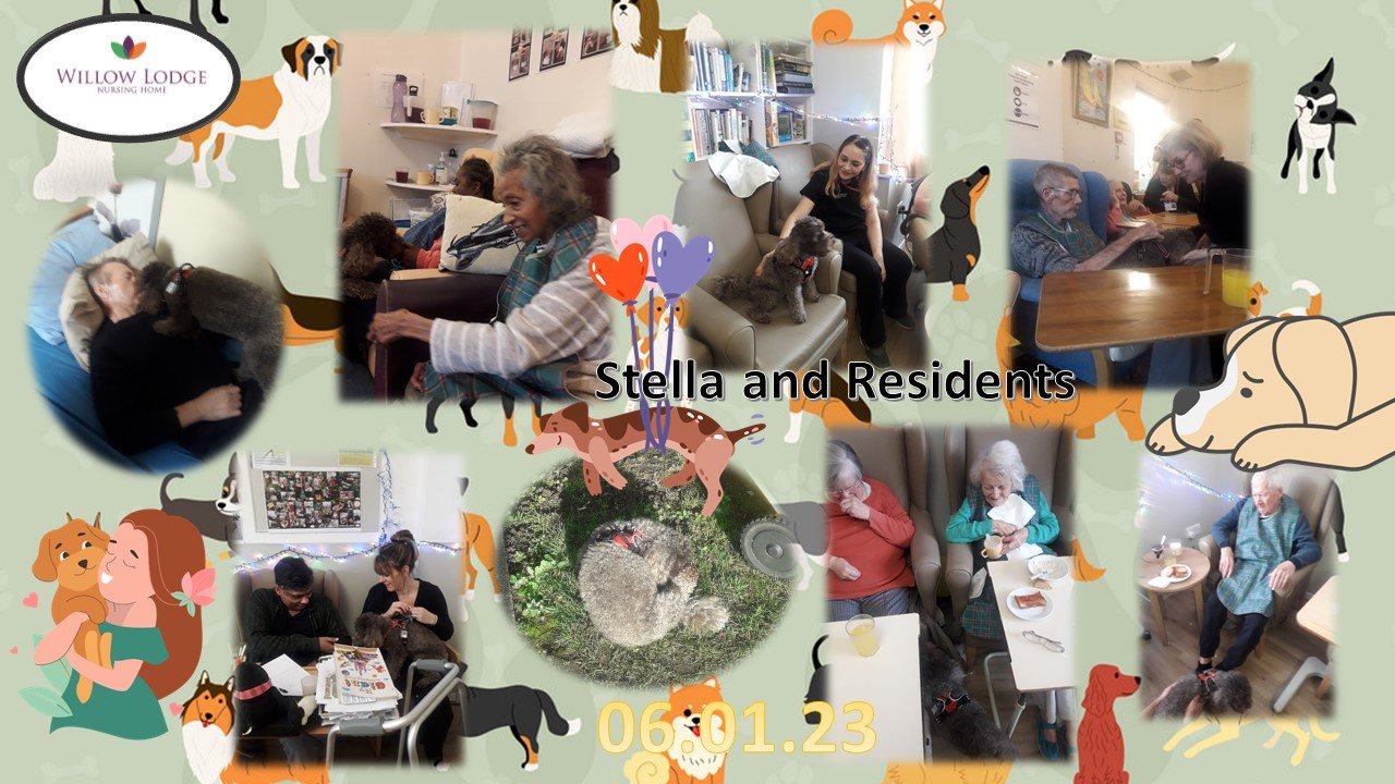 Stella and Residents