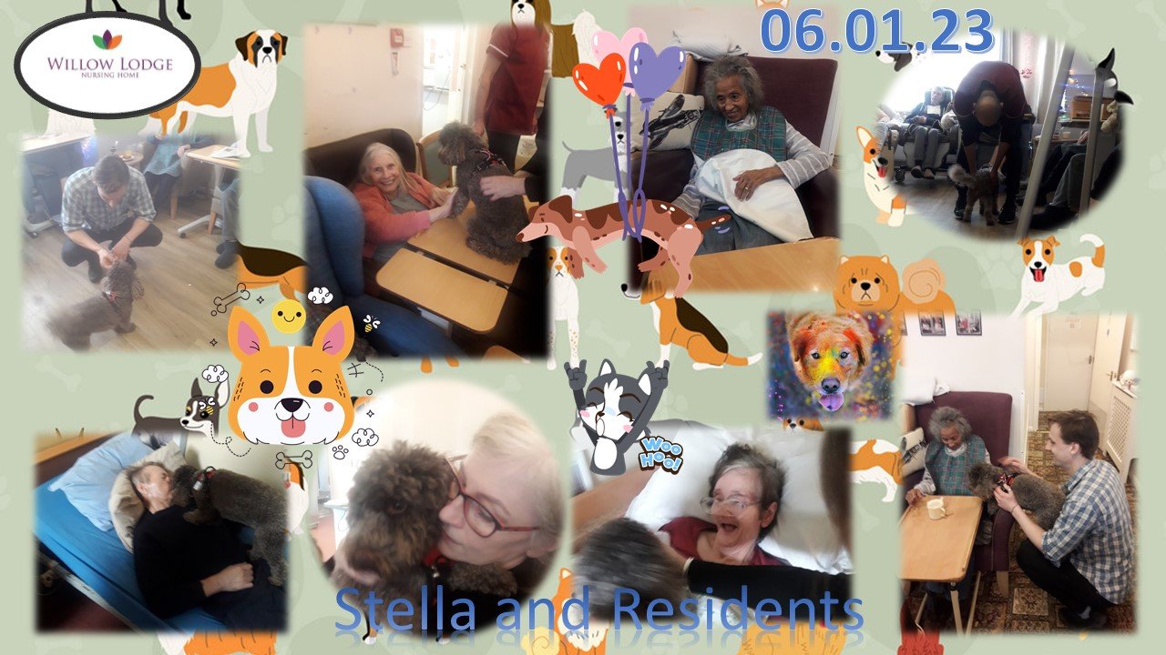 Stella and Residents 2