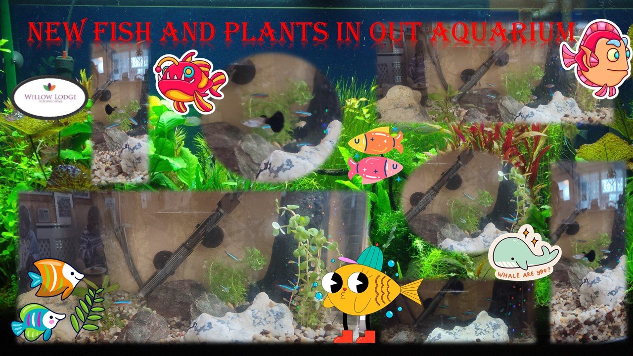 New fish and plants