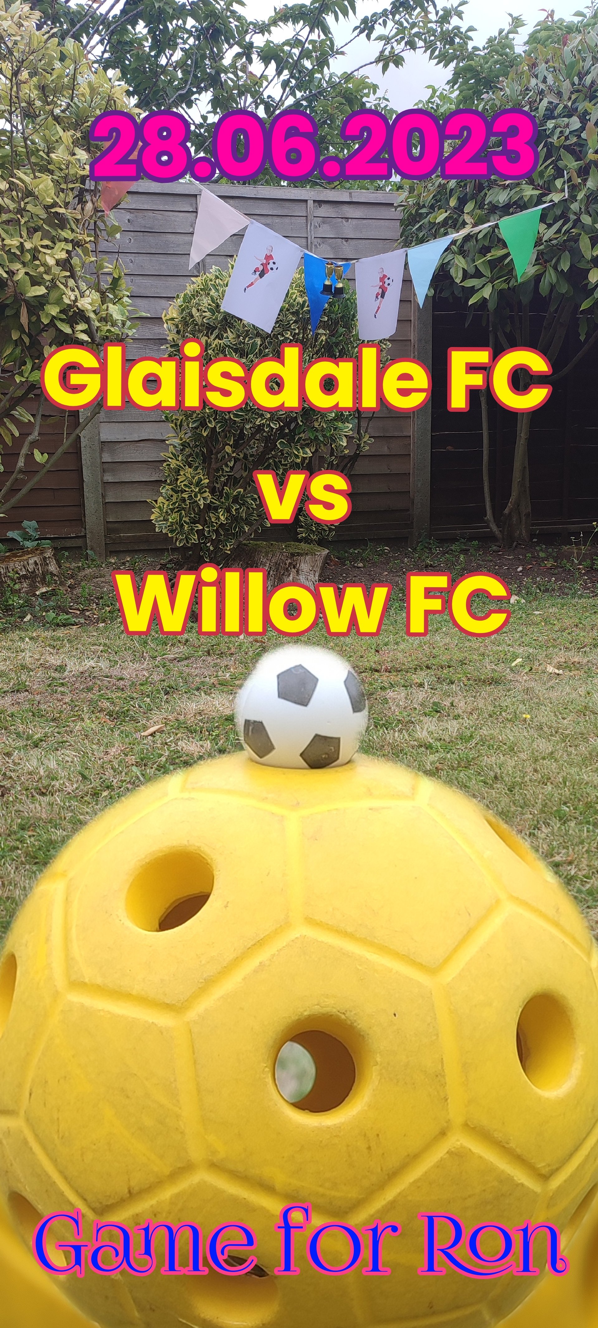 Glaisdale vs Willow