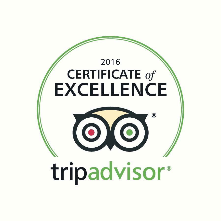 TripAdvisor 2016