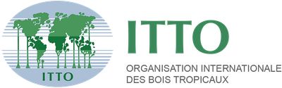 Organisation Internationale des Bois Tropicaux
