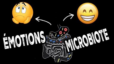Le microbiote intestinal dicte-t-il notre humeur et nos comportements ?