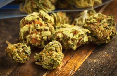 This Is What You Should Know When Purchasing Cannabis Online  image