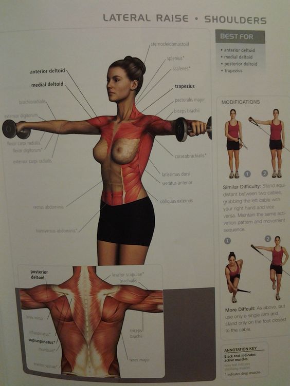 Lateral Raises