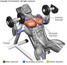 Incline Chest Press