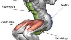 Dead Lifts ?