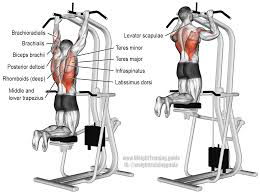 CLOSE-GRIP PULL-DOWN