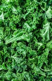 Kale, 10 Health Benefits of Kale