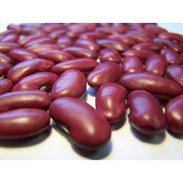 Kidney beans The 9 Healthiest Beans and Legumes You Can Eat