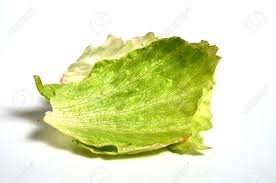 . Does Iceberg Lettuce Have Any Nutritional Benefits?
