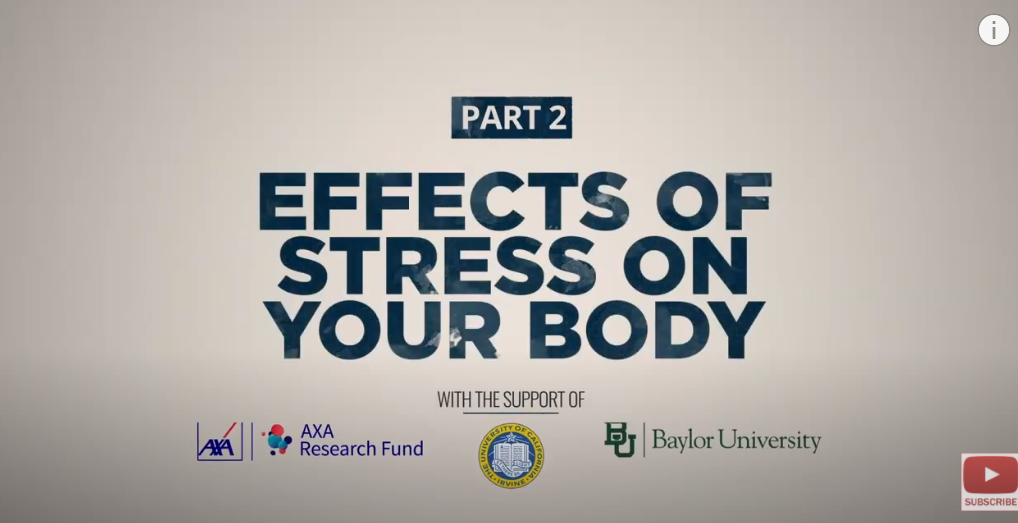 What can prolonged stress lead to?