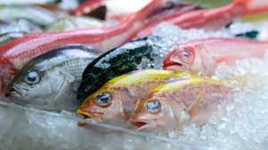 ✅ Fresh Fish with Frozen Fish, help cut the costs by almost half