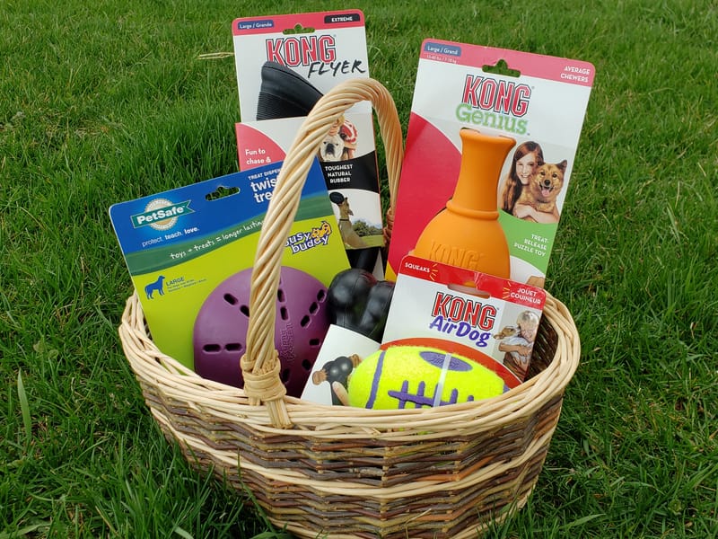 Pet Supplies